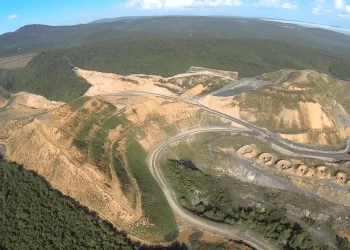 Orman alanları termik santrallere peşkeş çekildi