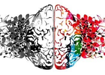 Beyin Karmaşık Sesleri Hızla Ezberler