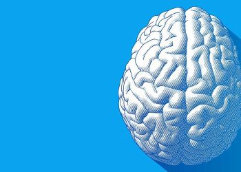 Bilim İnsanları, Özgür İradenin Beynin “Arka Plan Gürültüsü” Olabileceğini Söyledi