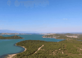 Milas’ta deniz kıyısındaki ormanlık alanda otel inşa edilecek