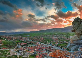 Divriği’de köpekler iki kişiyi yaraladı