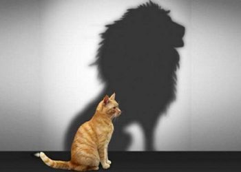 GÜÇ ZEHİRLENMESİ