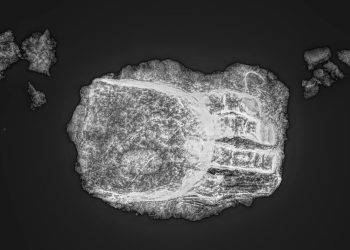 Arkeologlar Almanya’da asırlık protez el keşfetti