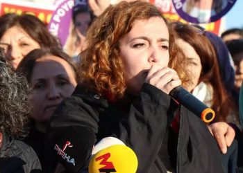 Didar Gül, Süleyman Soylu’ya hakaret davasında beraat etti, “Suç işleri bakanı’ ifade özgürlüğü sayıldı