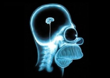 Be Mejî, No brain, Beyin yok, Kein Gehirn…