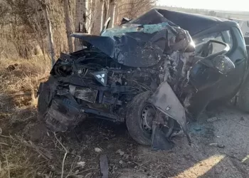 Sivas’ta kamyonet ağaca çarptı: 1 ölü