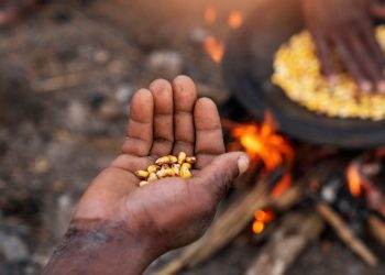 Gıda krizinde günde yaklaşık 16 bin çocuk açlığa sürükleniyor
