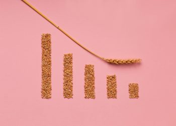 TÜRKİYEDE TARIM VE GIDA ENFLASYONU