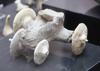 OYUNCAKLAR VE OYUNCULAR