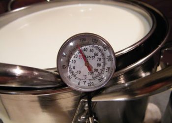 SÜT KAZANI NASIL YOĞURT OLUR?