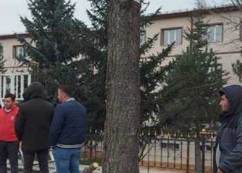 Sivas Belediyesi ağaçlara zarar verenler hakkında suç duyurusunda bulundu