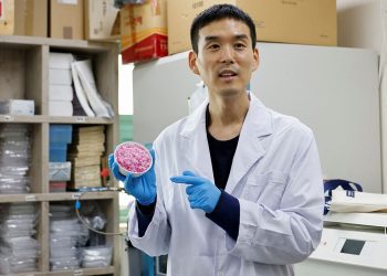 Bilim insanlarından et bulamayana ucuz alternatif: Yapay etli pirinç