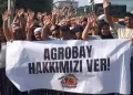 Tarım-Sen açıkladı, Agrobay işçileri ilk kazanımını elde etti