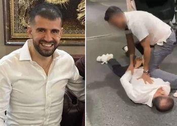 Ali Yerlikaya’dan Ayhan Bora Kaplan açıklaması