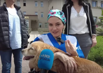 HAYTAP’tan suç duyurusu: Şarkışla’da 4 köpeği pompalı tüfekle katletmişti!