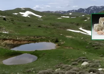 Zara Dipsizgöl’de Çevre Kıyımına Karşı Ortak Mücadele Çağrısı!