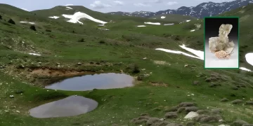 Zara Dipsizgöl’de Çevre Kıyımına Karşı Ortak Mücadele Çağrısı!