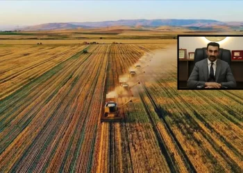 AKP’nin kalesi Sivas’ta çiftçi yine görmezden gelindi: ‘Kuraklık desteği’ yalan oldu!